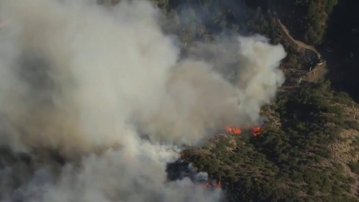 Brush fire sparks along 405 Freeway in Brentwood