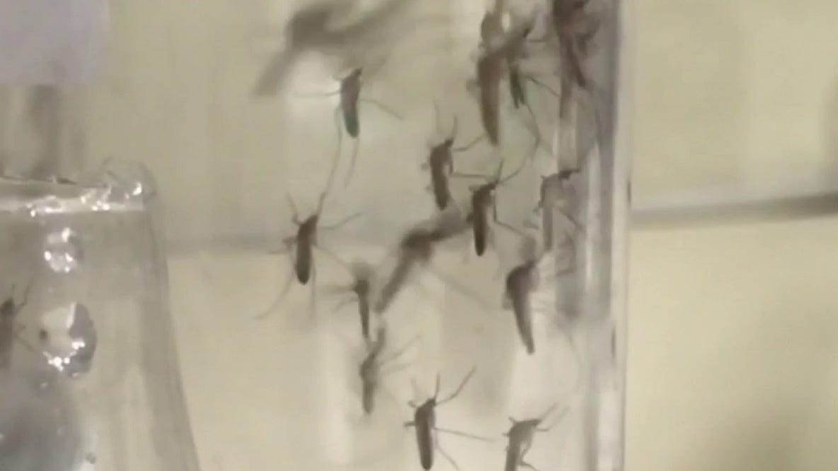 West Nile virus surges in Los Angeles County as mosquito spraying gets underway