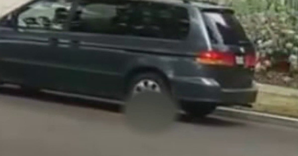 Santa Ana Police Seek Woman Who Deliberately Ran Over and Killed Puppy