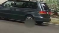 Santa Ana police searching for woman who deliberately ran over puppy