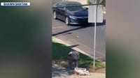 'She does that every morning': Brentwood residents say woman defecating on sidewalk is threatening them