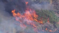 Hilary Fire briefly threatens homes in Palmdale