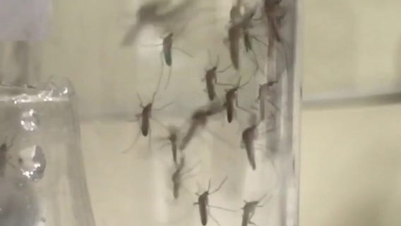 West Nile virus surges in Los Angeles County as mosquito spraying gets underway