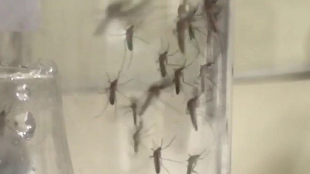 West Nile virus surges in Los Angeles County as mosquito spraying gets underway