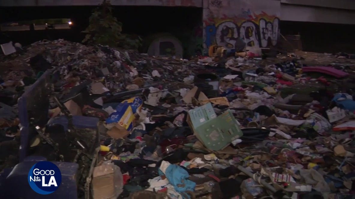 Animal advocates allege illegal puppy sales at homeless encampment under Arleta overpass