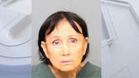 OC woman faces federal charges in Santa Ana puppy killing
