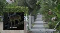Atwater Village toddler attacked by coyote; DNA testing underway