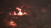 Crews making progress on containing Bike Fire; Santa Clarita residents praise firefighters
