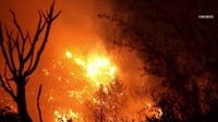 Bryson Fire in Malibu forces evacuations amid Red Flag Warnings, power shutoffs