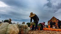 LA Halloween forecast: Rain storm to bring wet weekend across Southern California