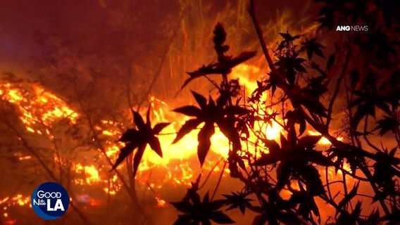 Red Flag Warning raises wildfire concerns as Palisades reservoir remains offline