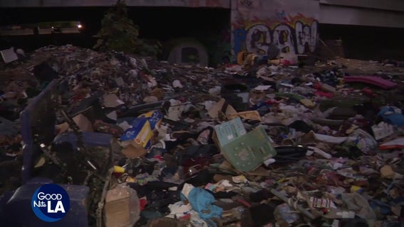 Animal advocates allege illegal puppy sales at homeless encampment under Arleta overpass