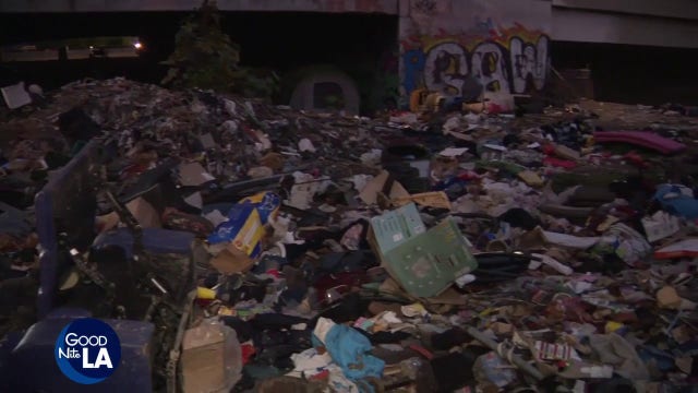 Animal advocates allege illegal puppy sales at homeless encampment under Arleta overpass