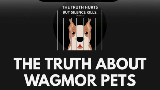 LA city attorney accuses Wagmor Pets rescue of buying and reselling dogs from breeders