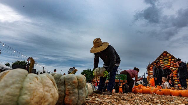 LA Halloween forecast: Rain storm to bring wet weekend across Southern California