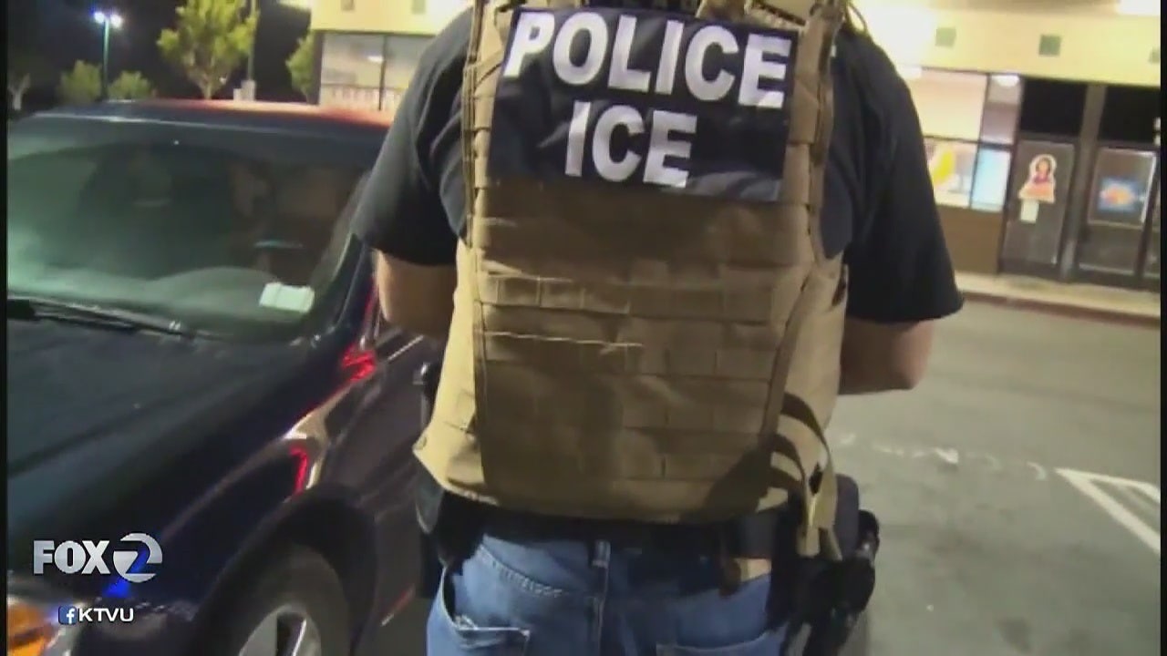 'Elderly nanny' reportedly detained by federal agents in San Francisco