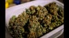 Sonoma Co. considers cannabis consumption lounges and lower taxes