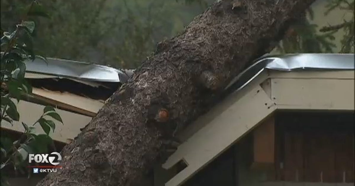 Storm knocks out power, downs trees across Bay Area | KTVU FOX 2