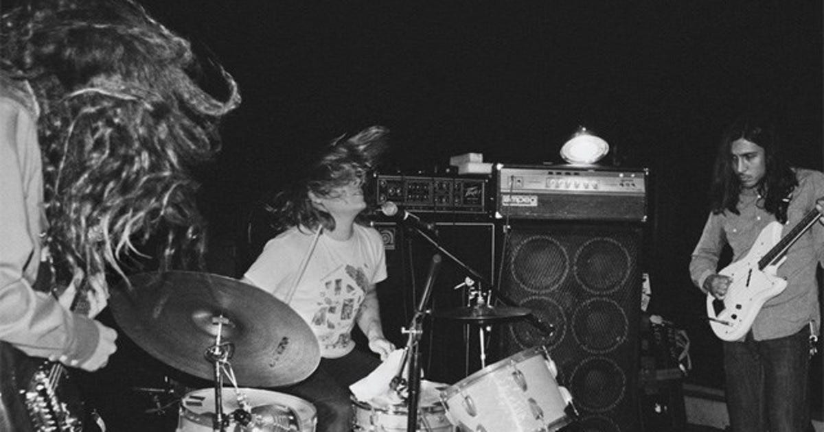 Fuzz Mob Fuzz | KTVU FOX 2