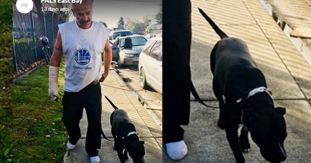 Dog saves owner's life just weeks before man is shot and killed | KTVU ...