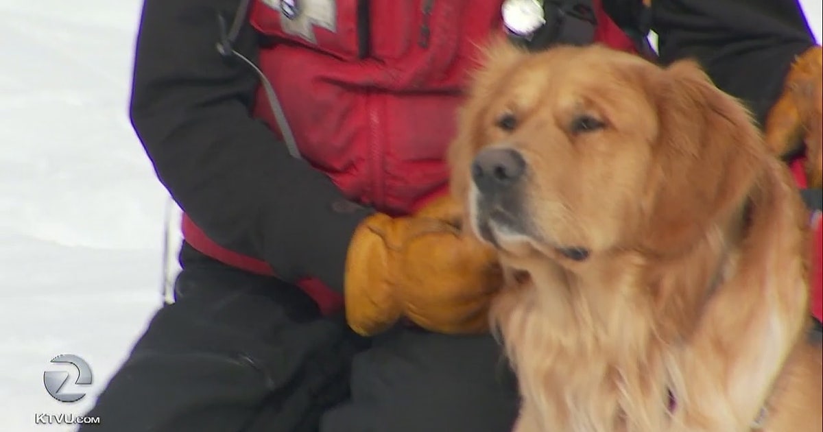 Sierra Nevada ski patrol trains for avalanche rescue | KTVU FOX 2