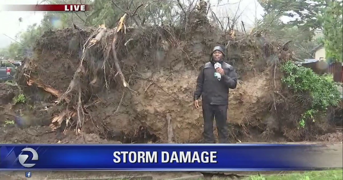 Rain, wind topples trees and knocks out power across Bay Area | KTVU FOX 2