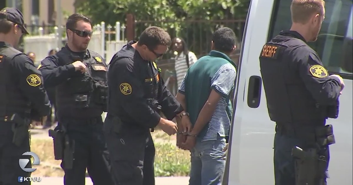 Marijuana seized, arrests made in East Bay Mexican drug cartel raids ...