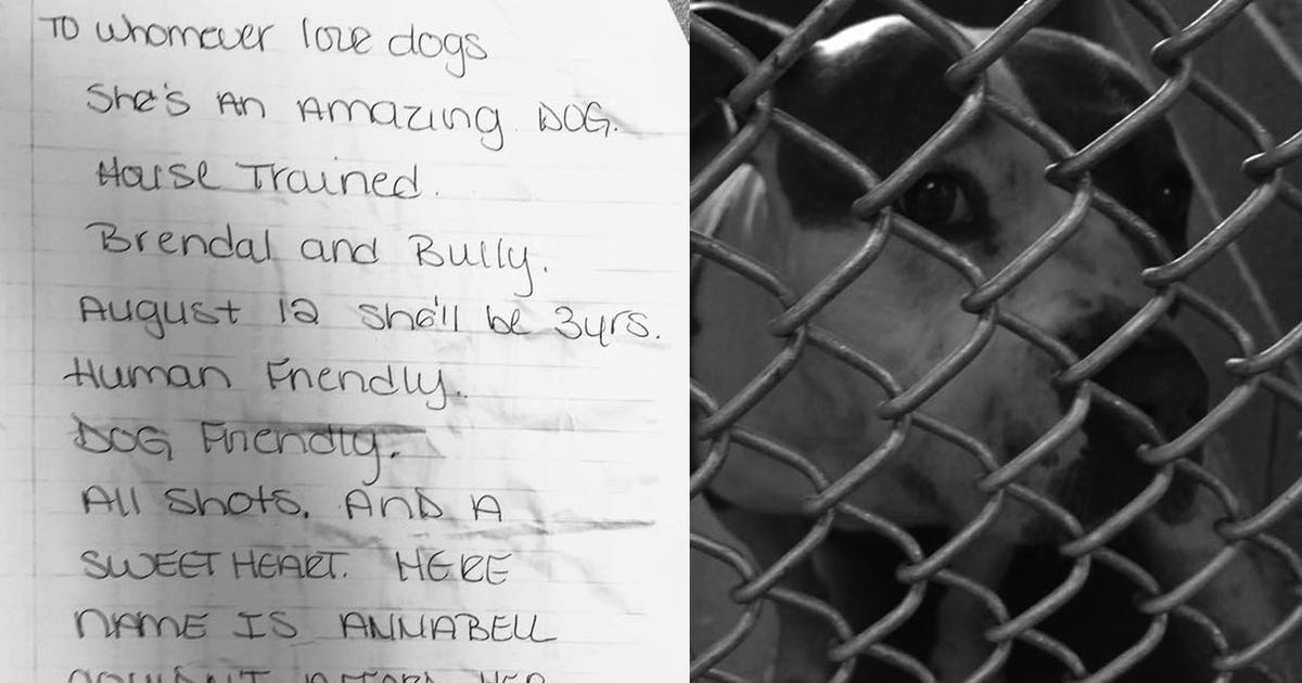 Dog left tied to tree with note explaining why | KTVU FOX 2