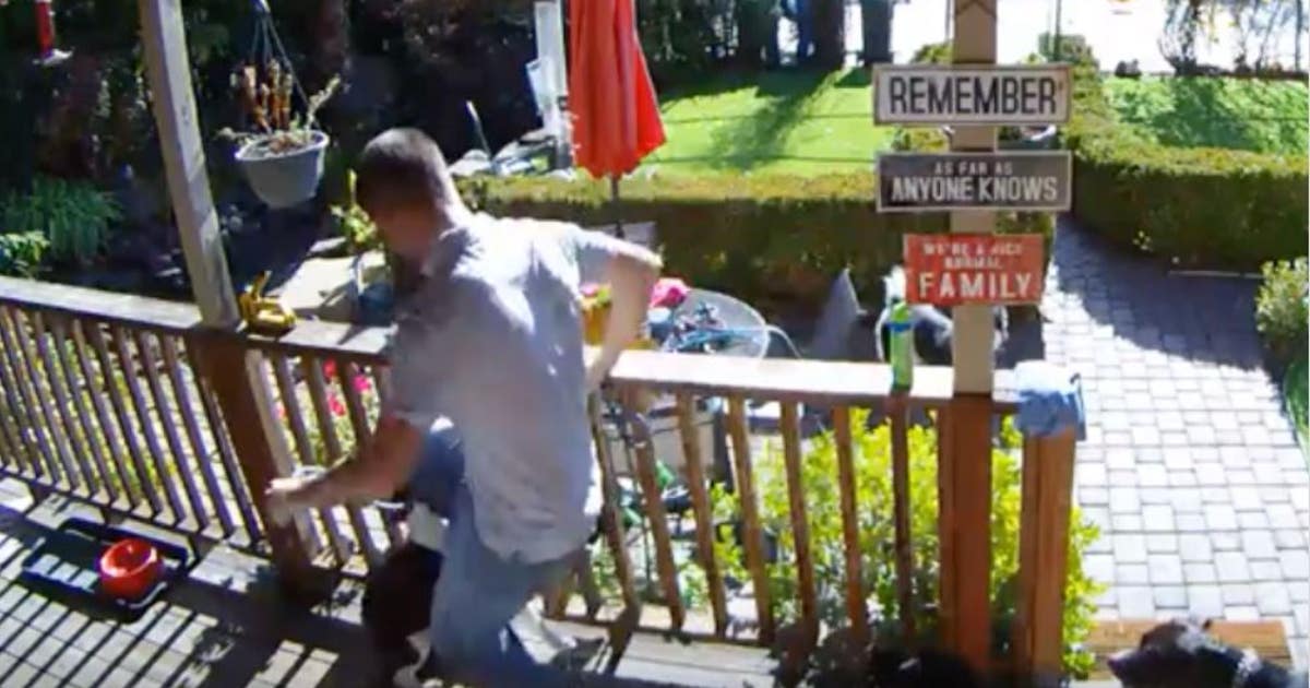Wag! dog walker charged with animal cruelty; customers concerned about ...