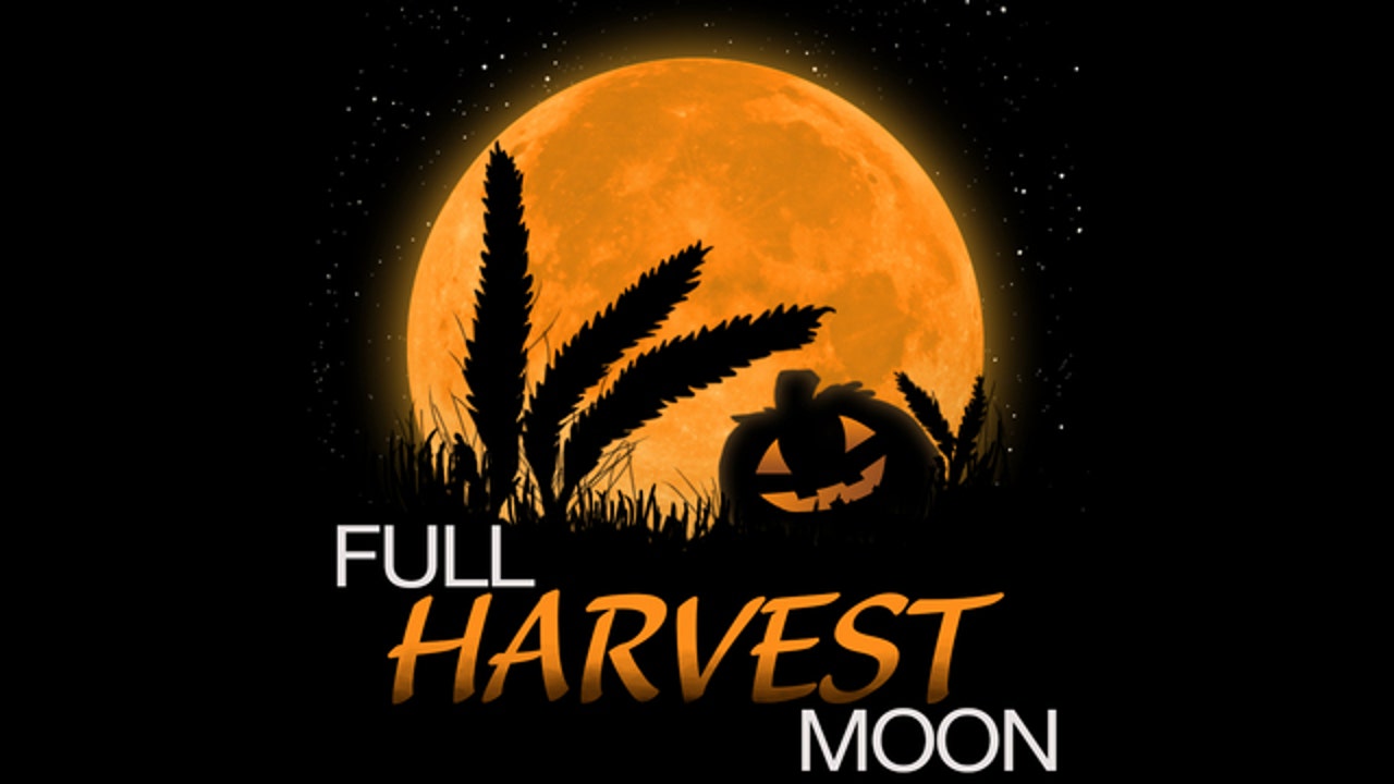 What's unusual about tonight's full Harvest Moon