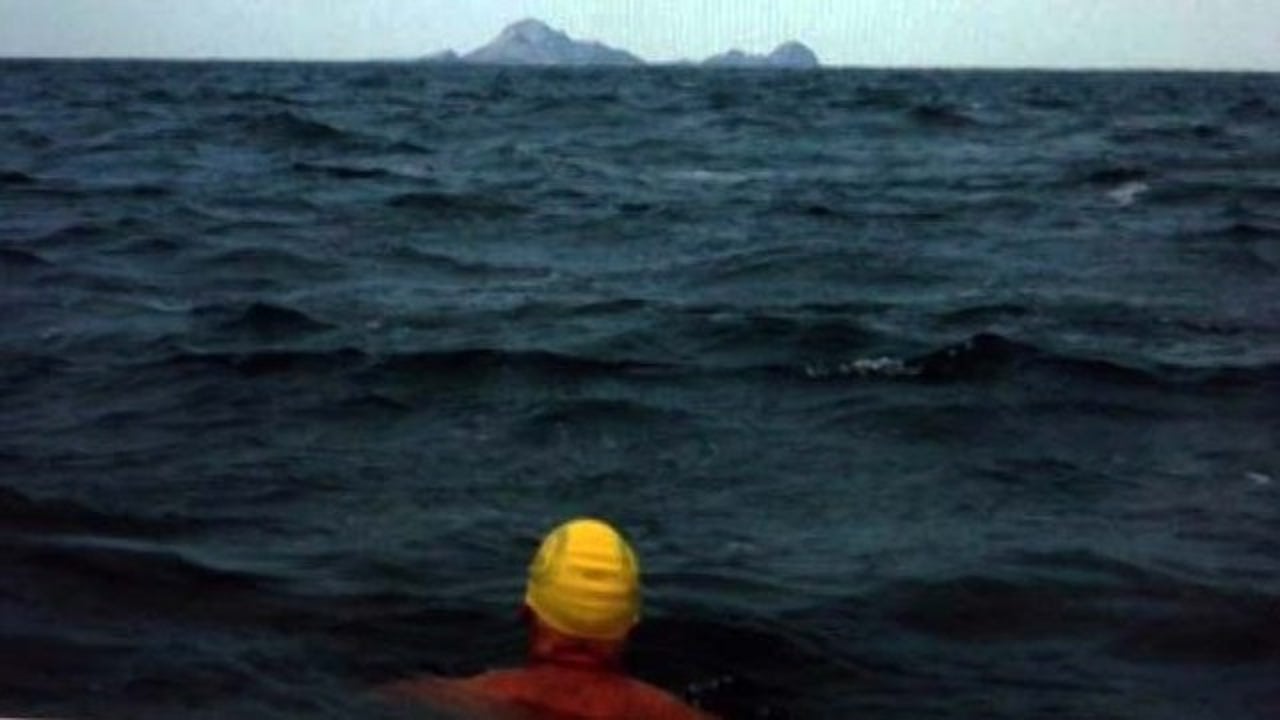Great white shark thwarts historic swim to Farallon Islands | KTVU FOX 2