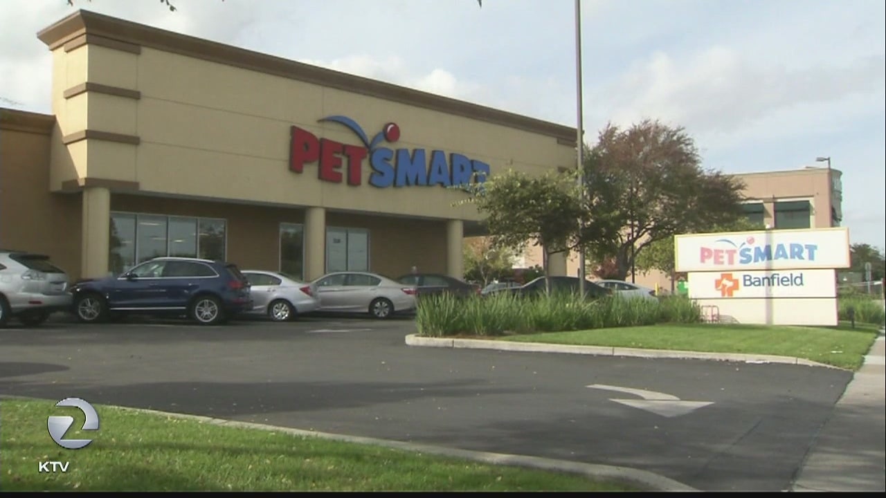petsmart 280