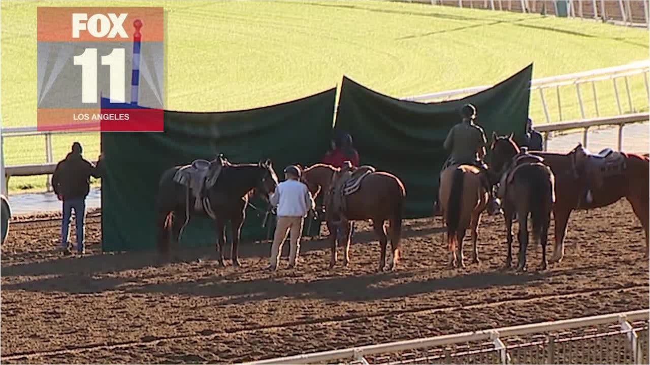 22nd horse since December dies at California's Santa Anita Park after