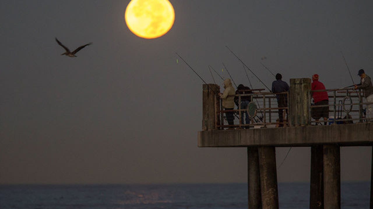 Free Fishing Day Fish licensefree in California on July 6