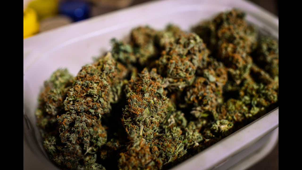 Sonoma Co. considers cannabis consumption lounges and lower taxes