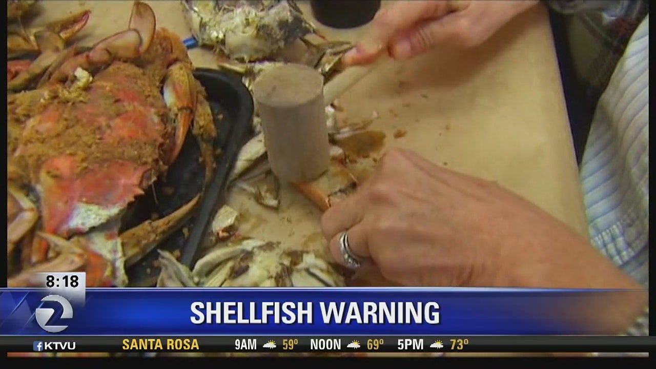 Health officials avoid shellfish from Central Coast