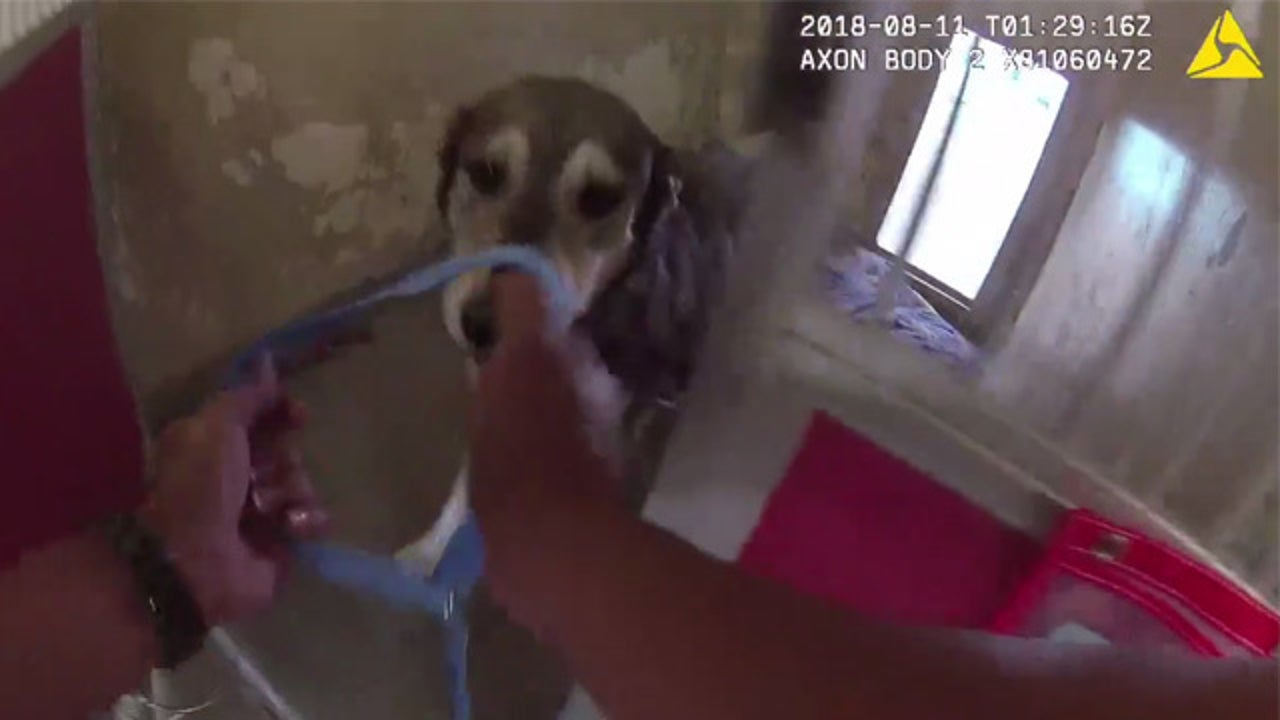 Bodycam shows officers rescue animals as wildfire approaches | KTVU FOX 2