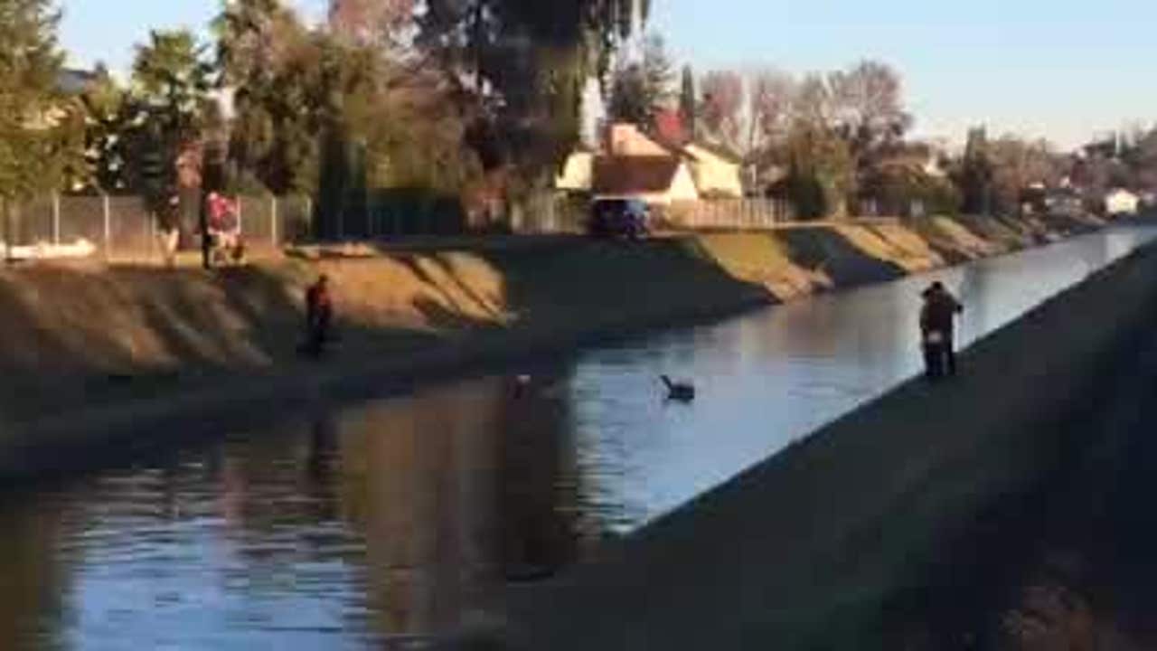 Man drowns in irrigation canal in Vacaville KTVU FOX 2