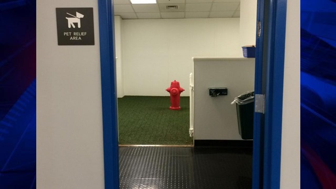 Mother United Airlines suggested pet relief area to pump breast milk