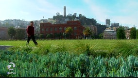 2 Investigates: Some of SF's biggest water wasters are part of the city itself