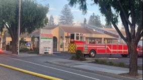 Criminal investigation underway following Campbell pet store fire