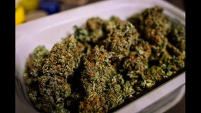 Sonoma Co. considers cannabis consumption lounges and lower taxes