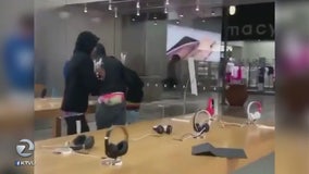 Thieves strike Hillsdale Shopping Center in latest Apple Store burglary