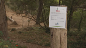 Mountain lion sighting reported in San Mateo