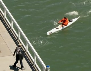 McCovey Cove Dave Becoming An Oracle Park Fixture 