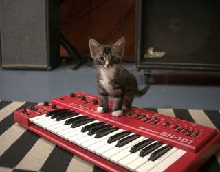 Vintage Synthesizer Museum Celebrates 5 Years In The East Bay