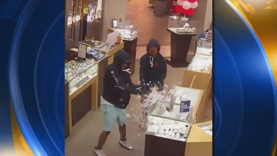 Police release Milpitas Great Mall jewelry store robbery suspect photos