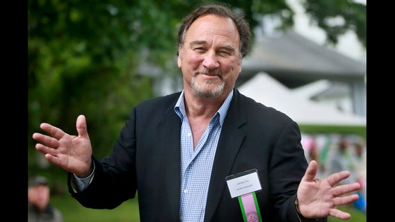 Jim Belushi wows customers at Sonoma County restaurant