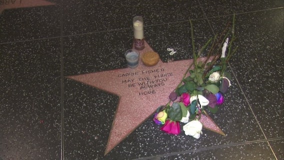 Fans create Hollywood star for Carrie Fisher