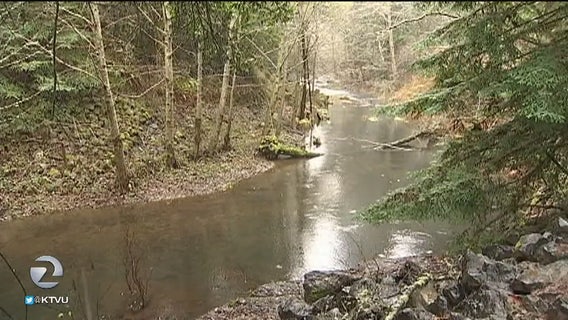 El Niño rains could wash away future generations of endangered salmon